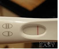 ovulation test  kit result - Negative